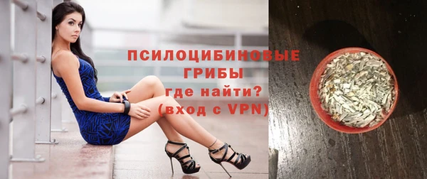 гашик Новозыбков