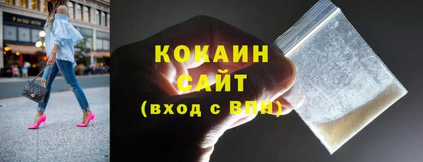гашик Новозыбков