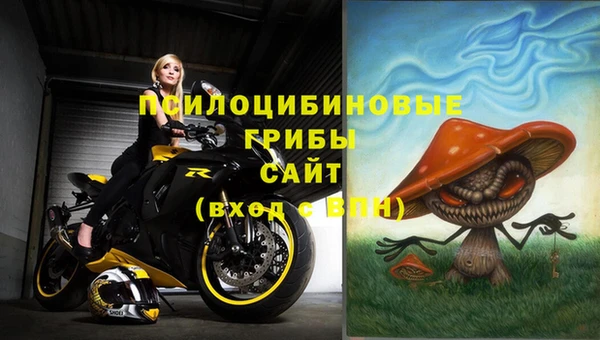 марки nbome Новокубанск
