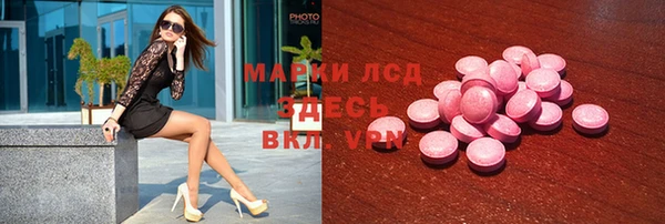 гашик Новозыбков
